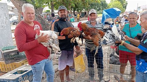 Vanio Registrando As Novidades Da Feira De Galinhas Na Linha Do Trem Em