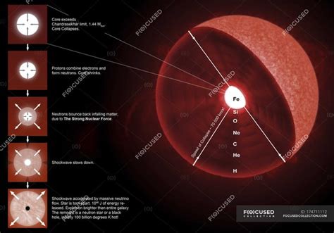 Type 2 Supernova Diagram