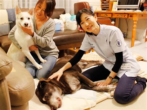 飼い主の想いに寄り添う獣医師。丸田香緒里先生にインタビュー｜ペトリィ 小さな家族のセレモニー