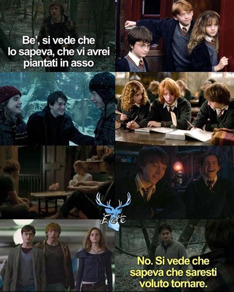 Pin Di Licia Ioria Su Meme Umorismo Su Harry Potter Immagini Di