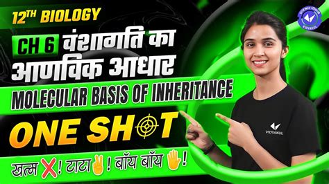 One Shot Molecular Basis Of Inheritance One