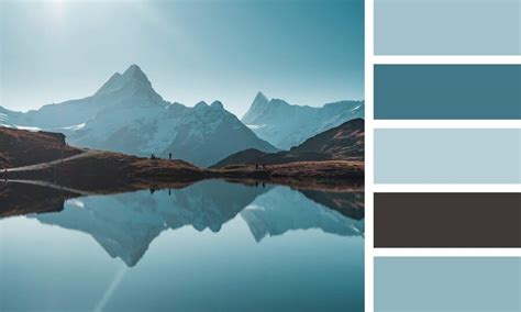 Color Palette Ideas to Inspire Your Next Design Project