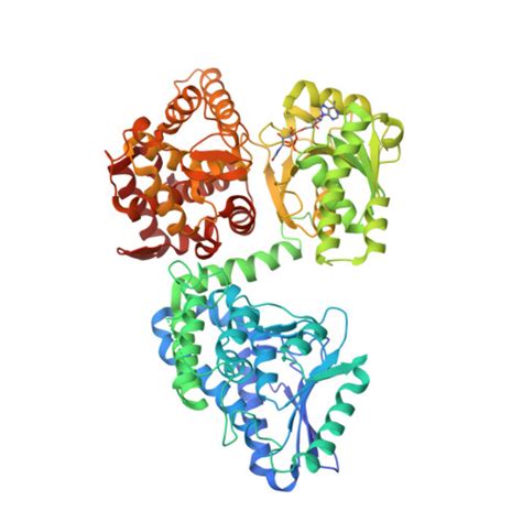 RCSB PDB 7O4U Structure Of The Alpha Subunit Of Mycobacterium