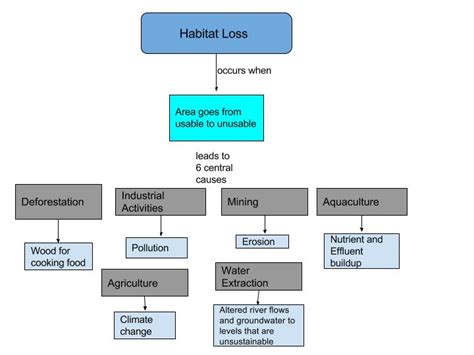 Diagram Of The Three Types Of Biodiversity