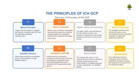 Good Clinical Practice Guidelines Ich Gcp E Ppt