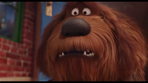 The Secret Life Of Pets Max Meets Duke Youtube