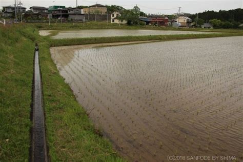田んぼに引いている水はどこから来ているのだろうか | ぶらり散歩で