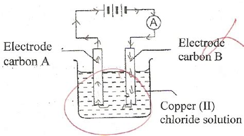 Electrons Flow In Electrolyte Download Scientific Diagram