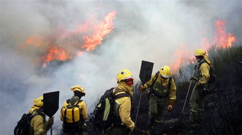 Tres Incendios Quemaron Más De 200 Hectáreas En Los últimos Dos Días