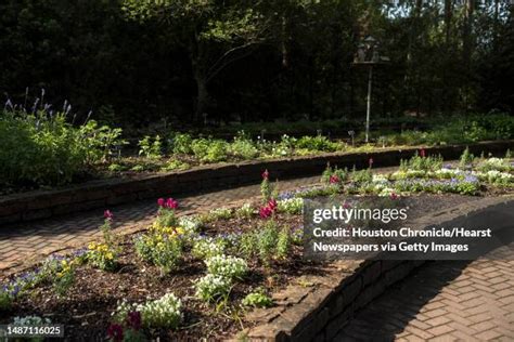 Mercer Botanic Gardens Photos and Premium High Res Pictures - Getty Images