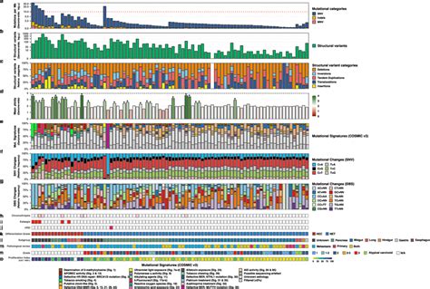 Landscape Of Large Scale Genomic Alterations Detected In Anen Ordered