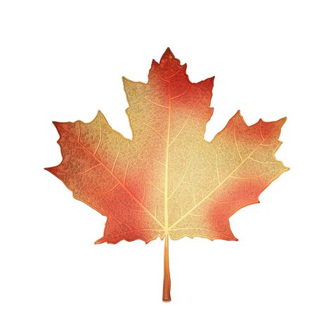 Maple Leaf Print Metal Decal Sticker For Indoor Or Outdoor Use On