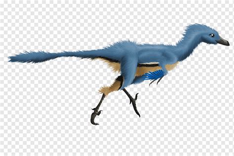 Troodon Velociraptor Dromaeosaurus Dinozor Tüyü Troodon faunası