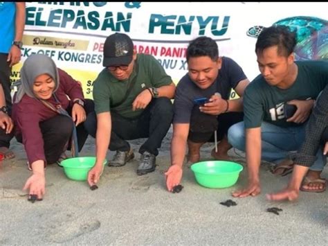 Ipnu Ippnu Ntb Lepas Puluhan Penyu Untuk Lindungi Dan Lestarikan Biota Laut