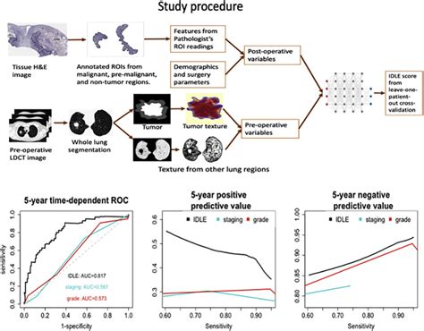 Ma An Integrated Deep Learning Method To Predict Lung Cancer