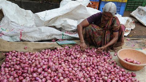 Onion price soars at wholesale market in Erode - The Hindu