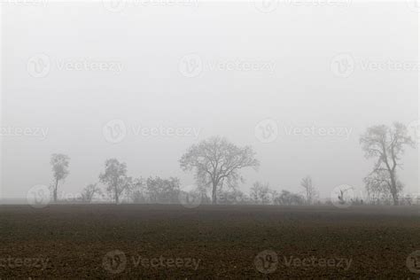 tree silhouette, sky 9414639 Stock Photo at Vecteezy