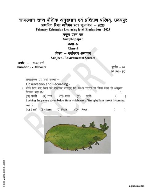 RBSE 5th Model Paper 2023 EVS रजसथन बरड मडल पपर Download PDF