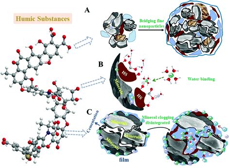 Humic Acid Structure