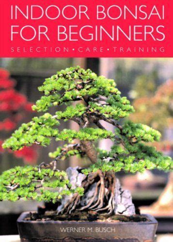 Bonsai trees for beginners – Artofit