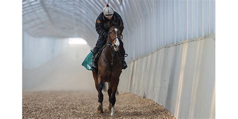 ノーザンファーム早来 厩舎リポート｜2歳馬牧場リポート2023春｜競馬情報ならjra Van