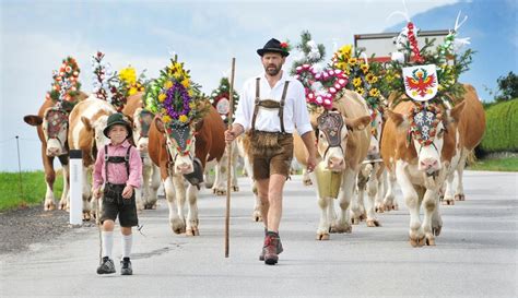 Almabtriebe Tirol Sterreich