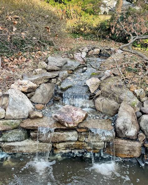 How To Build A Pond Waterfall In 11 Steps 🛠️ 💧