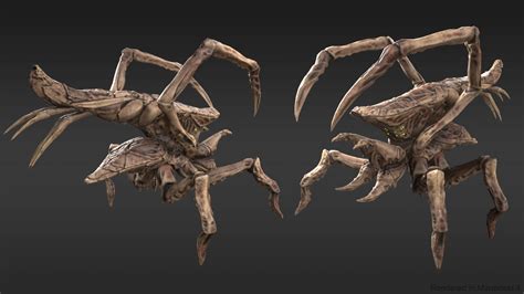 D Model Arachnid Group Of Spiders Vr Ar Low Poly Cgtrader