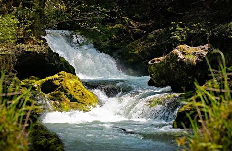 Water Mountain Stream Roaring - Free photo on Pixabay