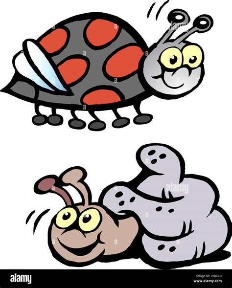 Ilustraci N Vectorial De Dibujos Animados De Una Mariquita Y Caracol