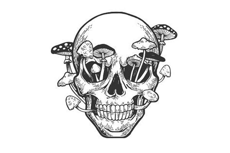 Human skull with mushrooms sketch | Skull art drawing, Skull art, Skull ...