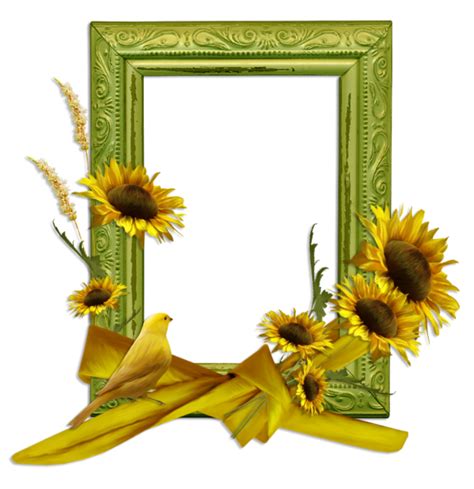 Forgetmenot Sunflowers Frames