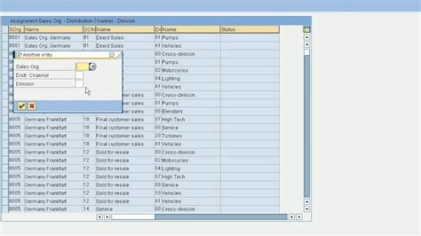 Setup Sales Area In Sap Sd Module Sales And Distribution Youtube