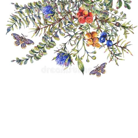 Carte De Voeux Florale De For T De Cru D Aquarelle Avec Des Branches De