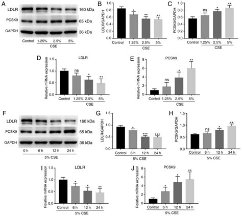 Cigarette Smoke Extract Stimulates Pcsk9 Production In Hepg2 Cells Via