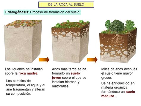 FUNDAMENTOS DE LA CIENCIA HISTORIA DE LA CIENCIA DEL SUELO EDAFOLOGÍA