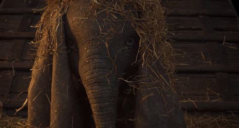 Dumbo Live Action De Tim Burton Ganha Novas Imagens