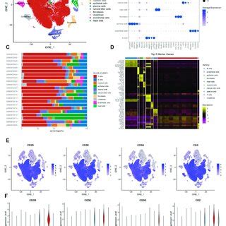 Cell Annotation Based On Single Cell Data A T Sne Plot Of Cell