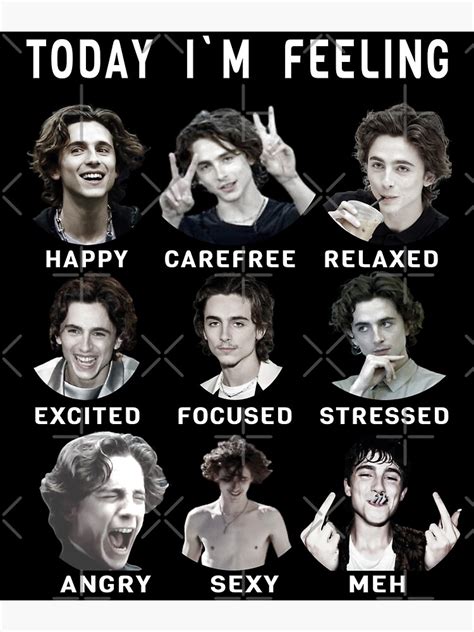 "Timothee Chalamet - Funny Feelings" Poster for Sale by PAFDesign | Redbubble