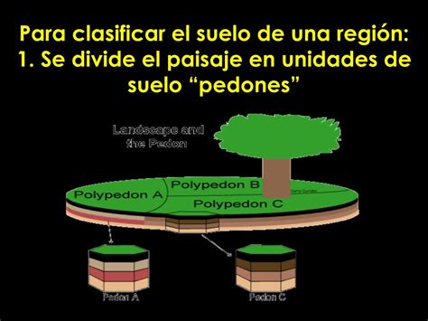 Ppt Génesis Y Clasificación De Suelos Powerpoint Presentation Free