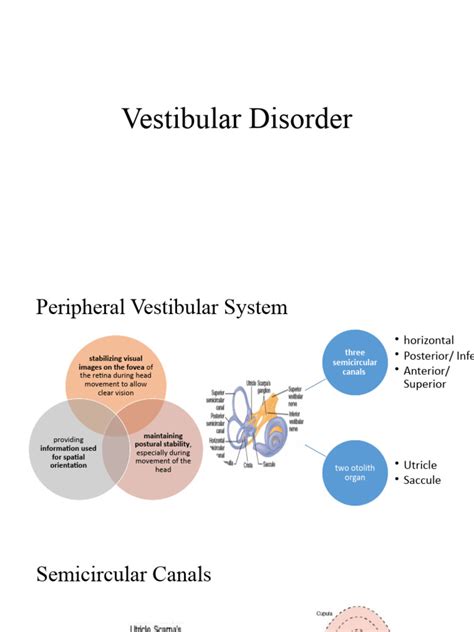 Vestibular Disorder | PDF | Vestibular System | Vertigo