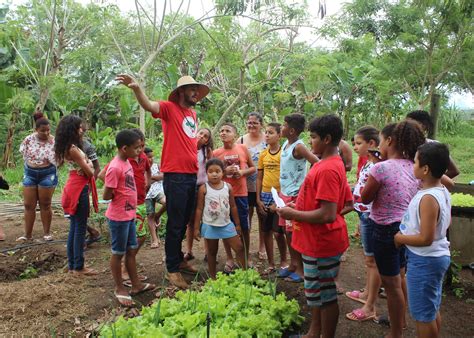 O Que Educação Do Campo