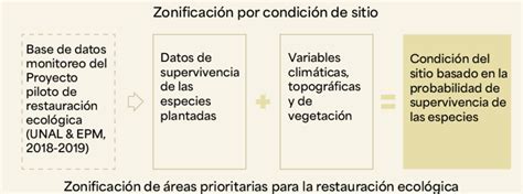 16 Esquema metodológico de zonificación por condición de sitio