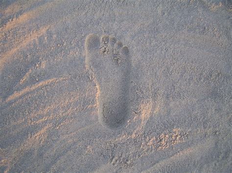 Footprint Free Stock Photo Public Domain Pictures