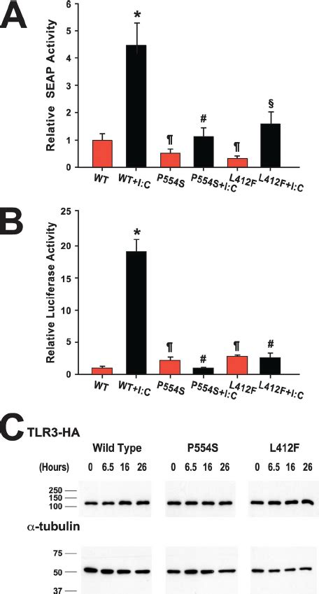 Analysis Of The Effect Of Tlr Variants On Nf And Type I Interferon