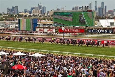 Melbourne Cup Betting Tips Our Predictions For The Big Race