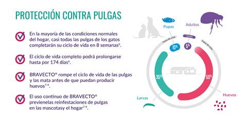 Bravecto Latam Universo De La Salud Animal