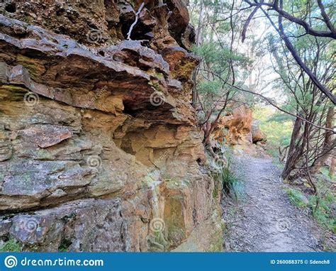 Eroded Cliff Face On The Prince Henry Cliff Track In The Blue Mountains