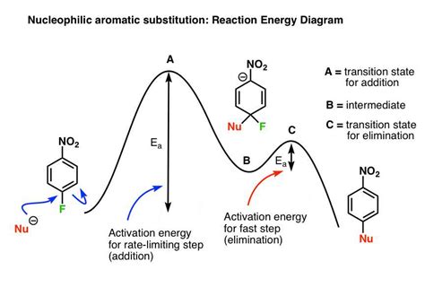 Understanding The Energy Diagram In Organic Chemistry