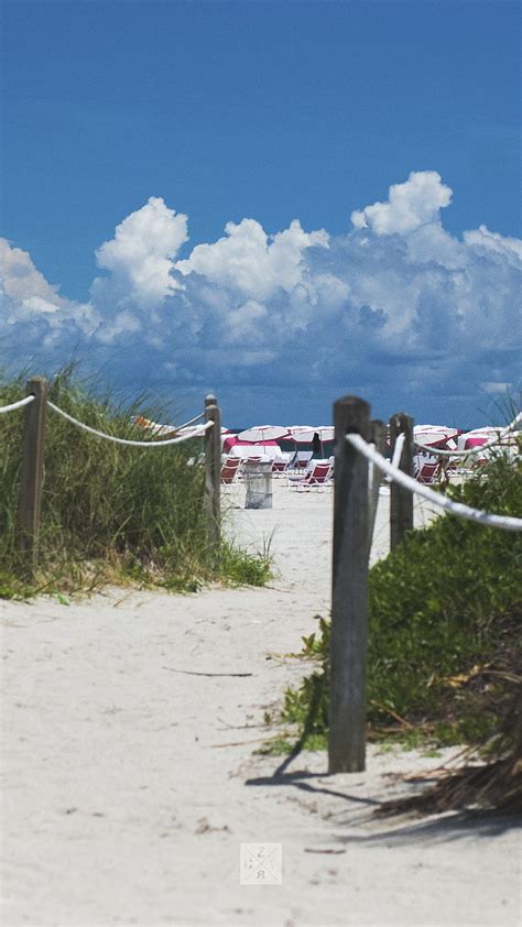 Going To The Beach Beach Farm Florida Landscapes Miami Miami